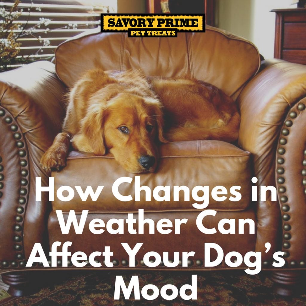 does weather affect mood